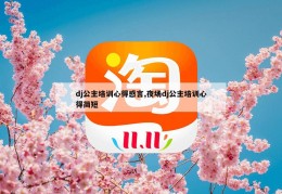 dj公主培训心得感言,夜场dj公主培训心得简短