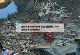 北京周末带孩子去哪里烧烤露营好,2020北京露营烧烤的地方