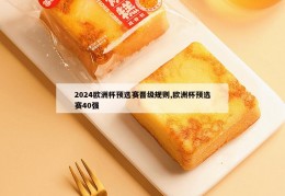 2024欧洲杯预选赛晋级规则,欧洲杯预选赛40强