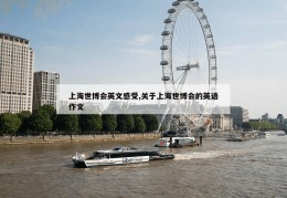 上海世博会英文感受,关于上海世博会的英语作文