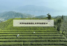 大学毕业感想感言,大学毕业感言50