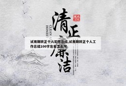 试用期转正个人工作总结,试用期转正个人工作总结100字左右怎么写