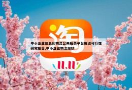 中小企业信息化物流公共服务平台投资可行性研究报告,中小企业物流现状