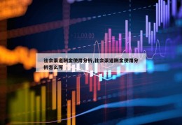 社会渠道酬金使用分析,社会渠道酬金使用分析怎么写