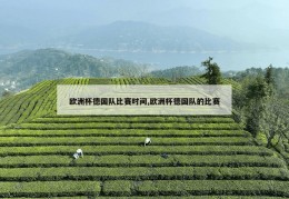 欧洲杯德国队比赛时间,欧洲杯德国队的比赛